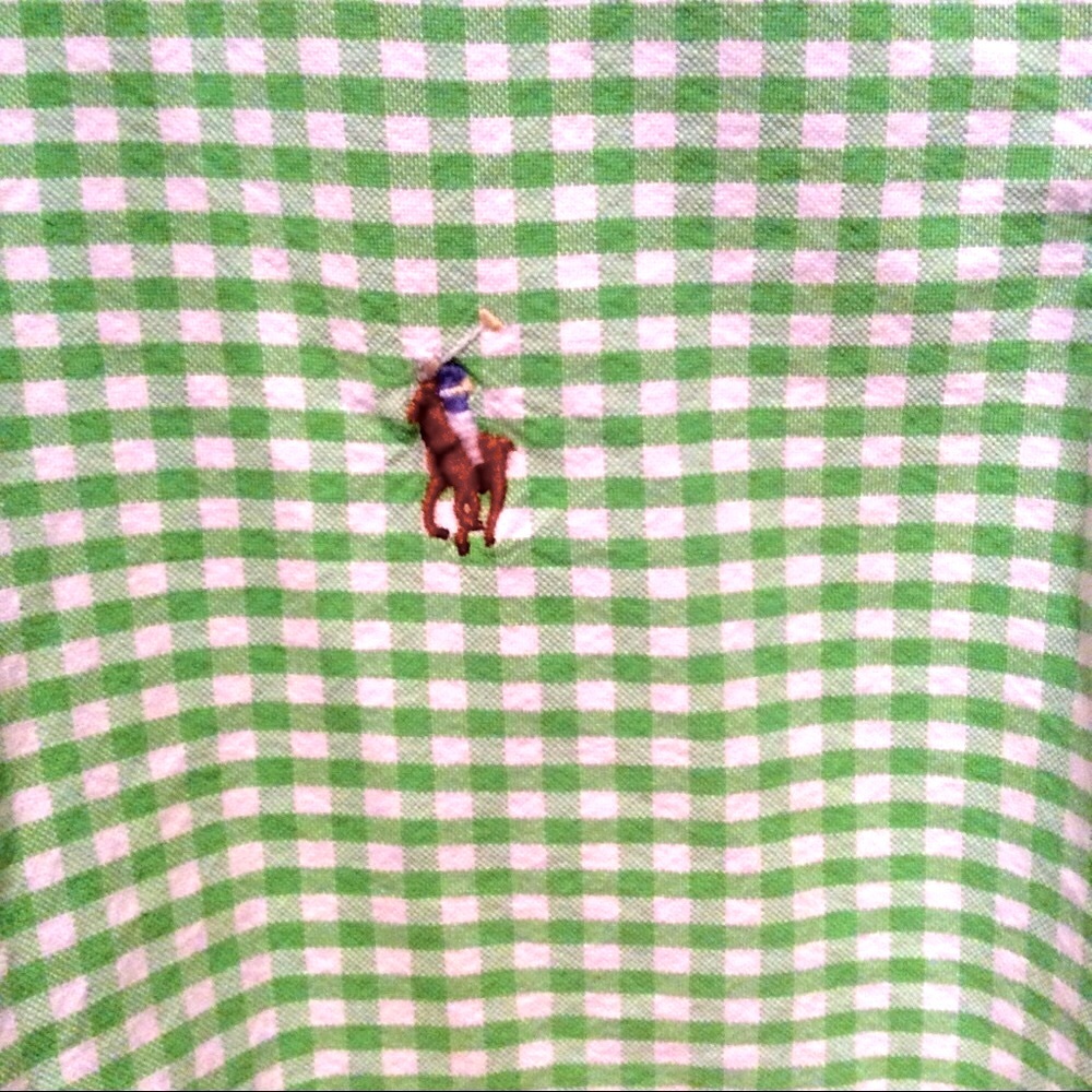 Host Pickpolo Green Checked Button Down - image 3